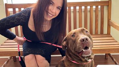 Hits’ Furry Friend of the Week: Hershey!