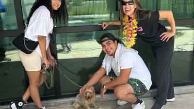 Summer Bash Adoption Broward County Animal Care 7.27.24