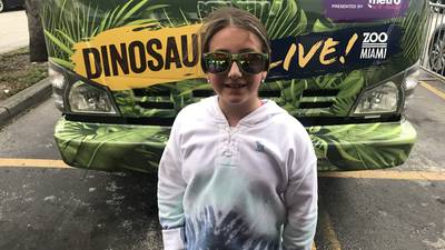 Zoo Dino