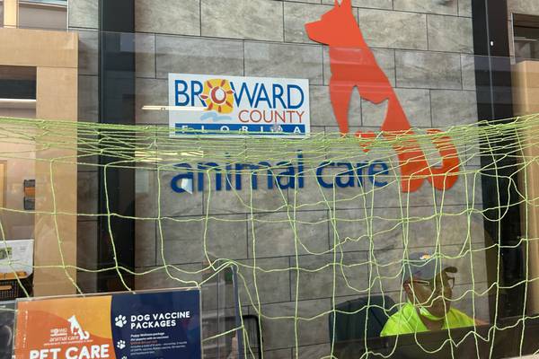 Broward County Animal Care Offering Free Pet Care