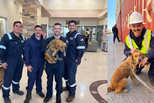 ‘Connie the Container Dog’: Members of US Coast Guard save dog trapped in shipping container