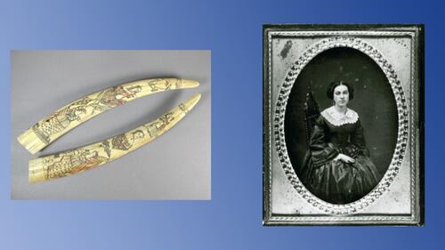 Scrimshawed tusks, an old photo