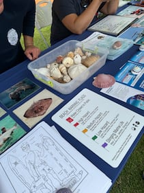 WFEZ 93.1, WHQT 105.1, WFLC 97.3, WEDR 99Jamz Miami beach block party 11.16