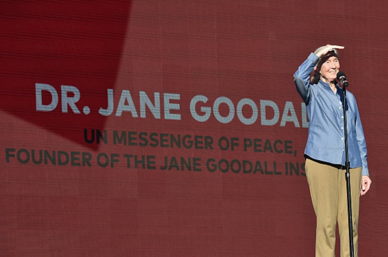 Dr. Jane Goodall